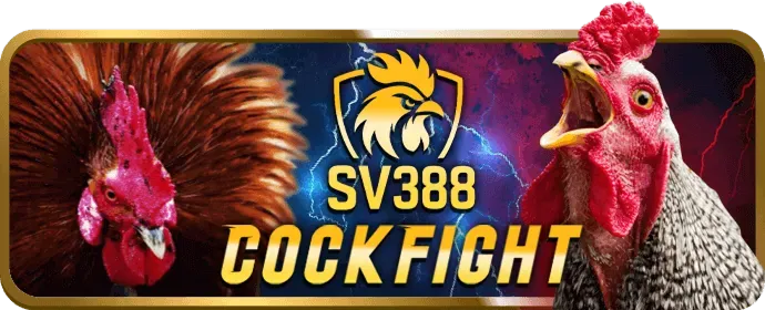 Hoàn trả thể thao casino 88betvui